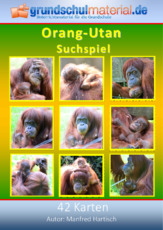 Orang-Utan_Suchspiel.pdf